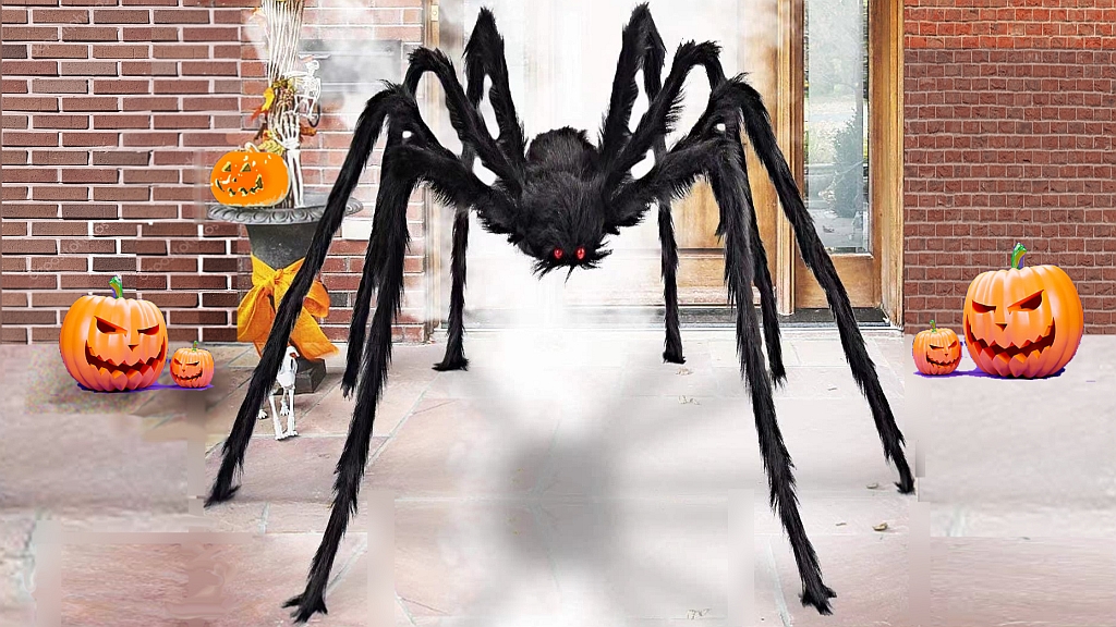 Click to Enlarge-Esc to Close EventPhotos/Halloween/spider 1A.jpg